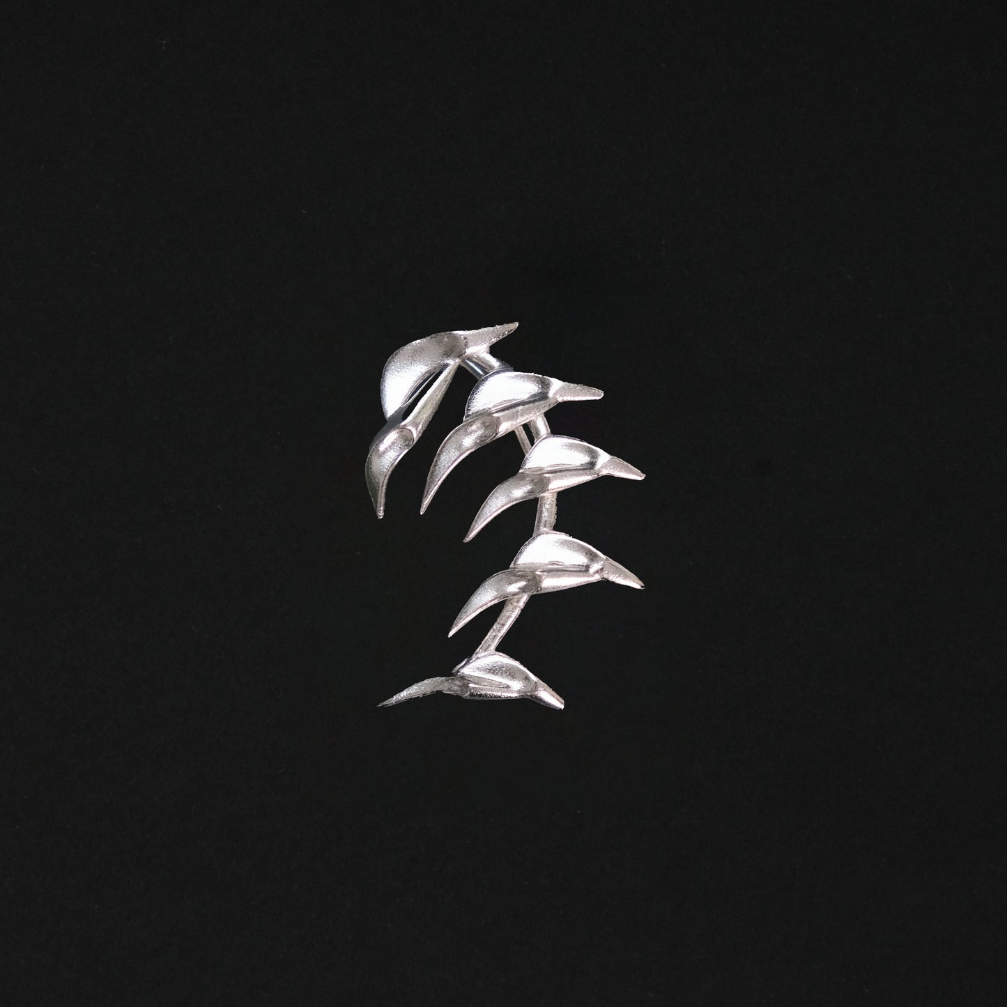 Spiny Edges
