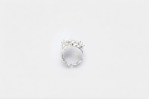 Gift Of Devil Ring