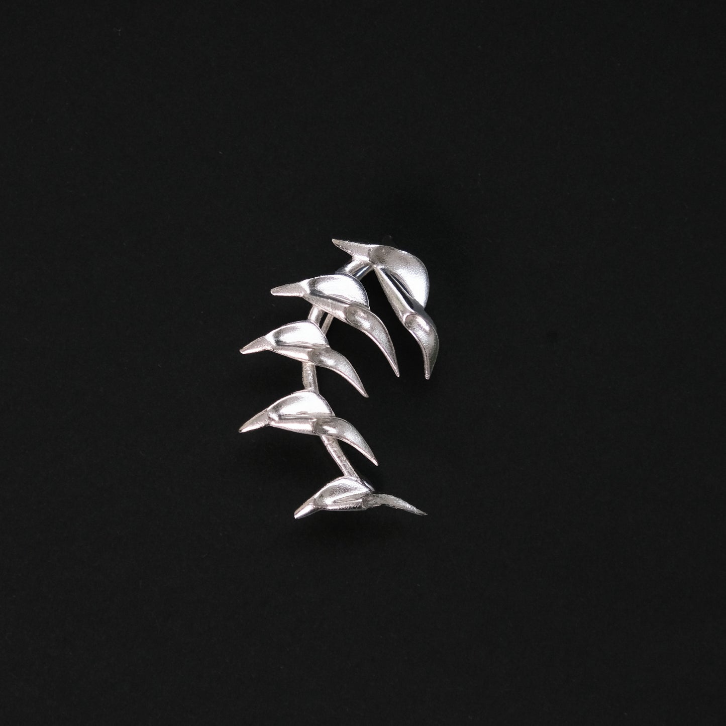 Spiny Edges