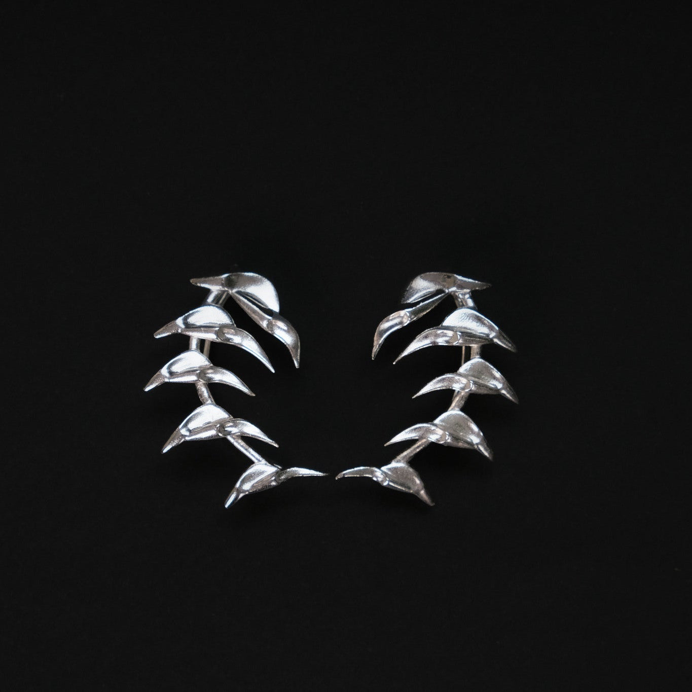 Spiny Edges