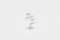 Spiny Edges