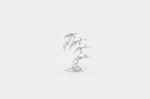 Spiny Edges